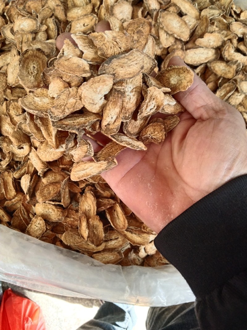 包邮新货精品牛蒡茶大片无粉沫纯无硫天然晒干颜色好批零兼营