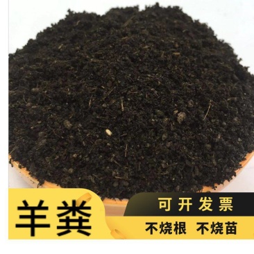 河北羊粪有机肥厂家批发腐熟羊粪茶叶沃甘用羊粪