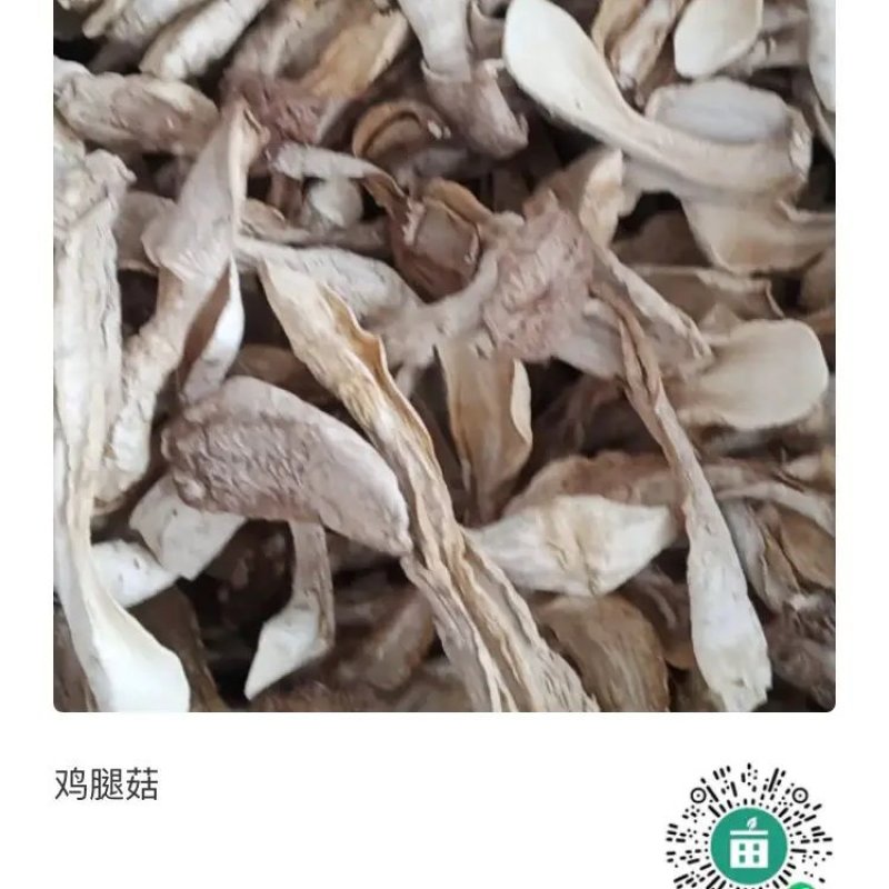 鸡腿菇
