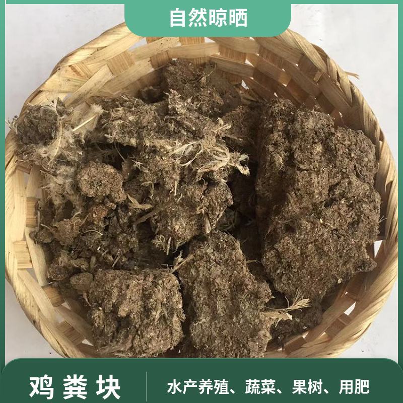 鸡粪块自然晾晒纯鸡粪无杂质水产养殖大棚蔬菜种植用肥