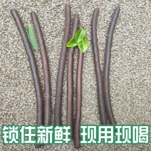 【整根便秘果】腊肠果便秘果大解果便秘果果肉500克包邮