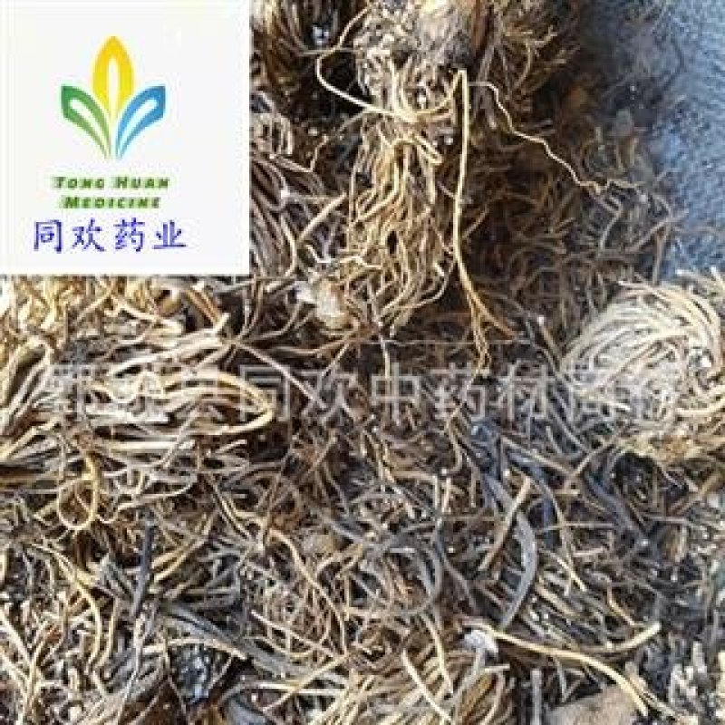 【藜芦】@【同欢药材】中药材批发供应规格齐全
