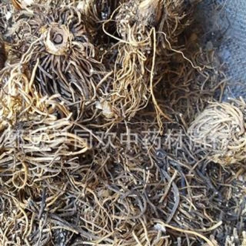 【藜芦】@【同欢药材】中药材批发供应规格齐全