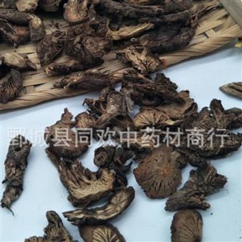 【漏芦】@【同欢药材】中药材批发供应规格齐全