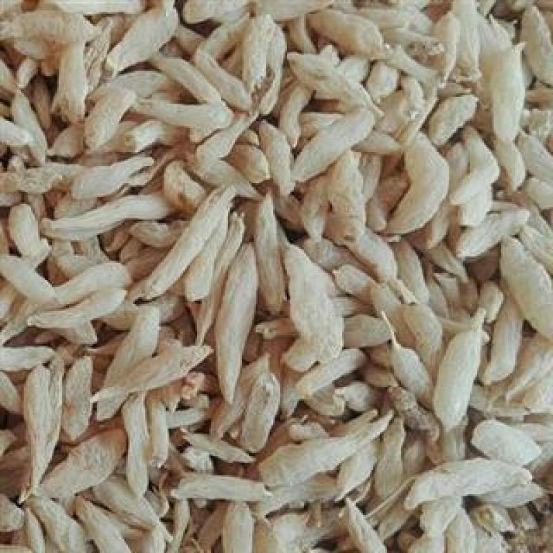 【好统水洗麦冬】@【同欢药材】中药材批发供应
