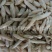 【选装水洗麦冬】@【同欢药材】中药材批发供应