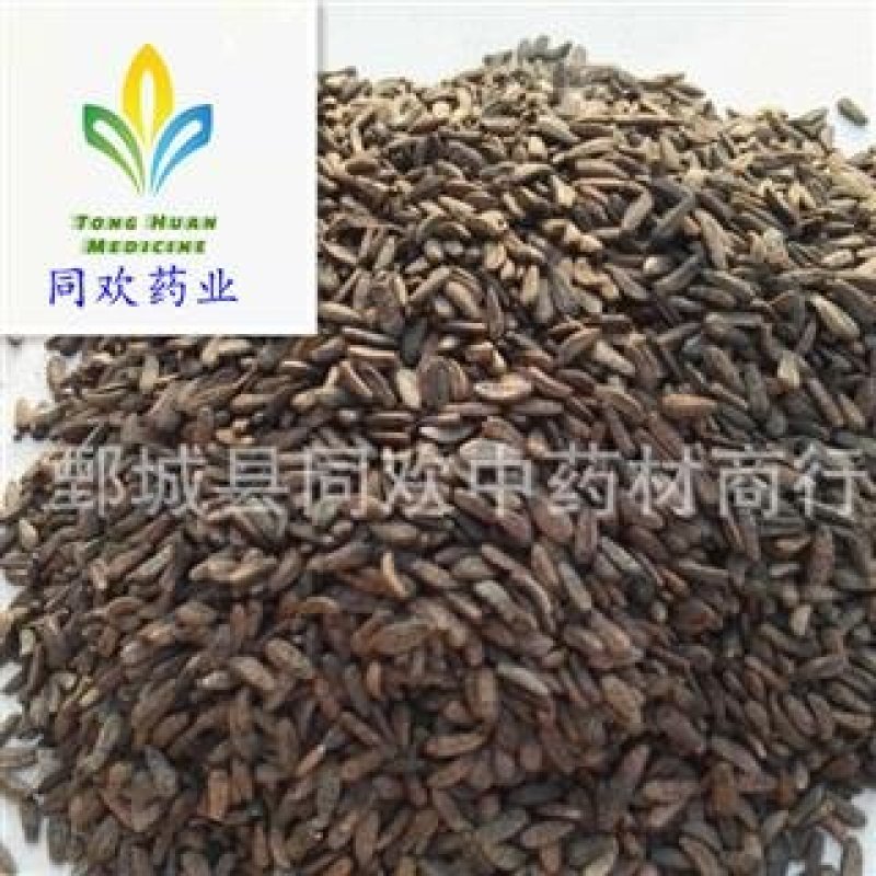 【牛子牛蒡子净货】@【同欢药材】中药材批发供应