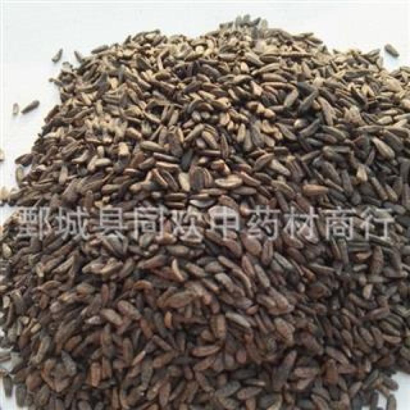 【牛子牛蒡子净货】@【同欢药材】中药材批发供应