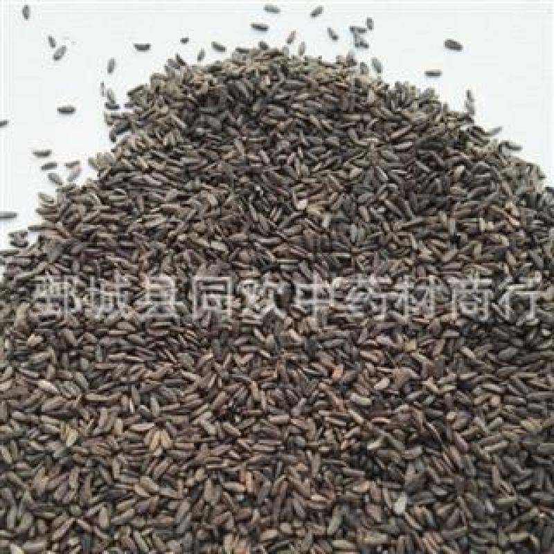 【牛子牛蒡子净货】@【同欢药材】中药材批发供应