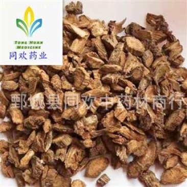 【牛蒡子根黄金牛蒡根】@【同欢药材】中药材批发供应