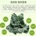随州本地特产泡泡青，一年只有一次哦！现采现摘，当天发货