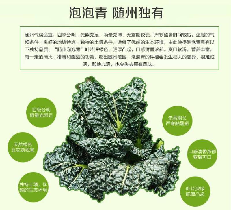 随州本地特产泡泡青，一年只有一次哦！现采现摘，当天发货