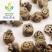 【生藕节好统货】@【同欢药材】中药材批发供应