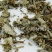 【寻骨风叶】@【同欢药材】中药材批发供应规格齐全