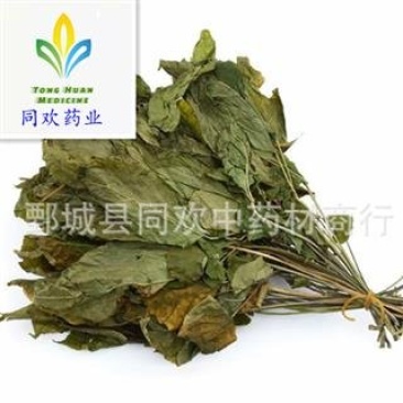 【人参叶】@【同欢药材】中药材批发供应规格齐全量大从优