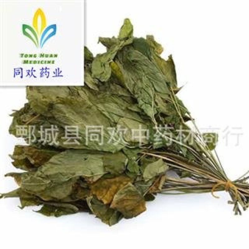 【人参叶】@【同欢药材】中药材批发供应规格齐全量大从优
