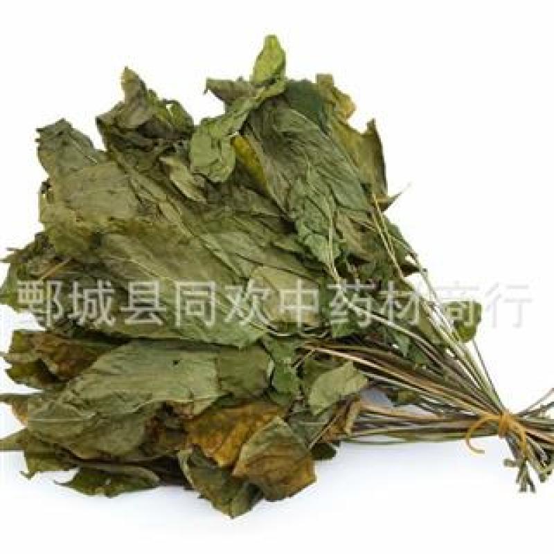 【人参叶】@【同欢药材】中药材批发供应规格齐全量大从优