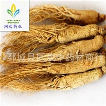 【45支原皮人参】@【同欢药材】中药材批发供应