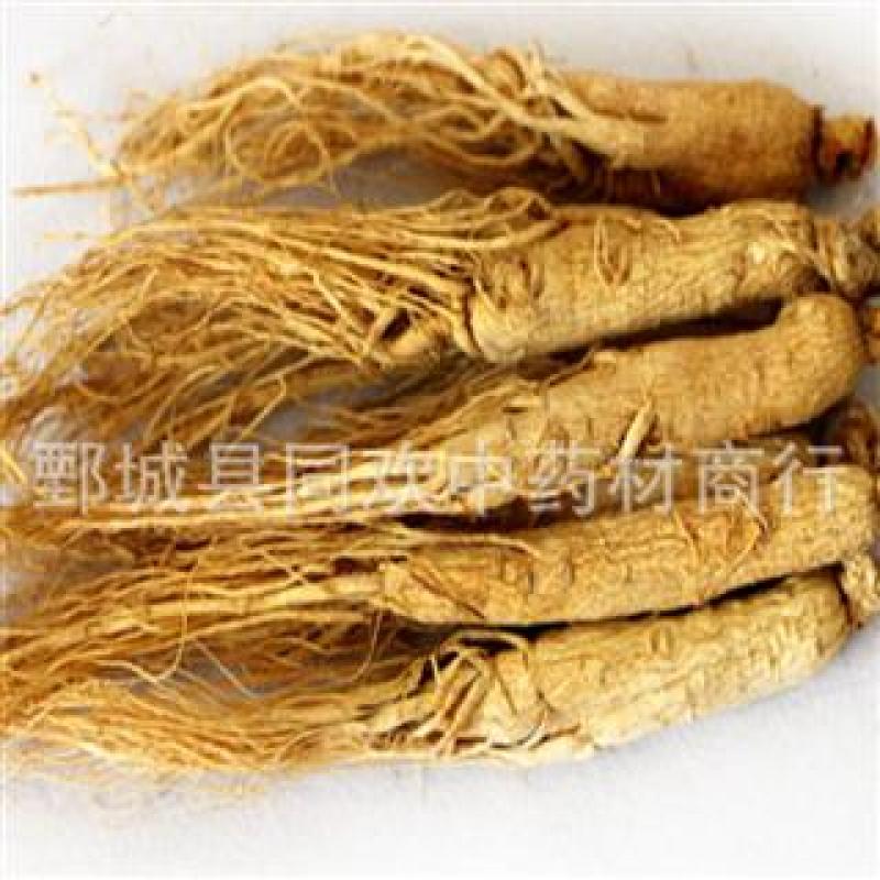 【45支原皮人参】@【同欢药材】中药材批发供应