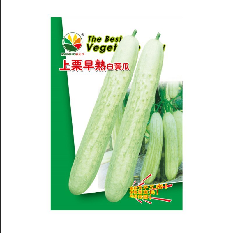 上栗白黄瓜种子水果黄瓜早熟杂交水果型夏秋冬季大田