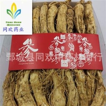 【25支原皮人参】@【同欢药材】中药材批发供应规格齐全