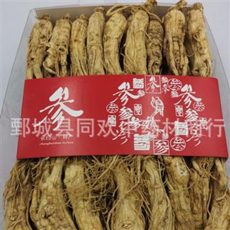 【25支原皮人参】@【同欢药材】中药材批发供应规格齐全