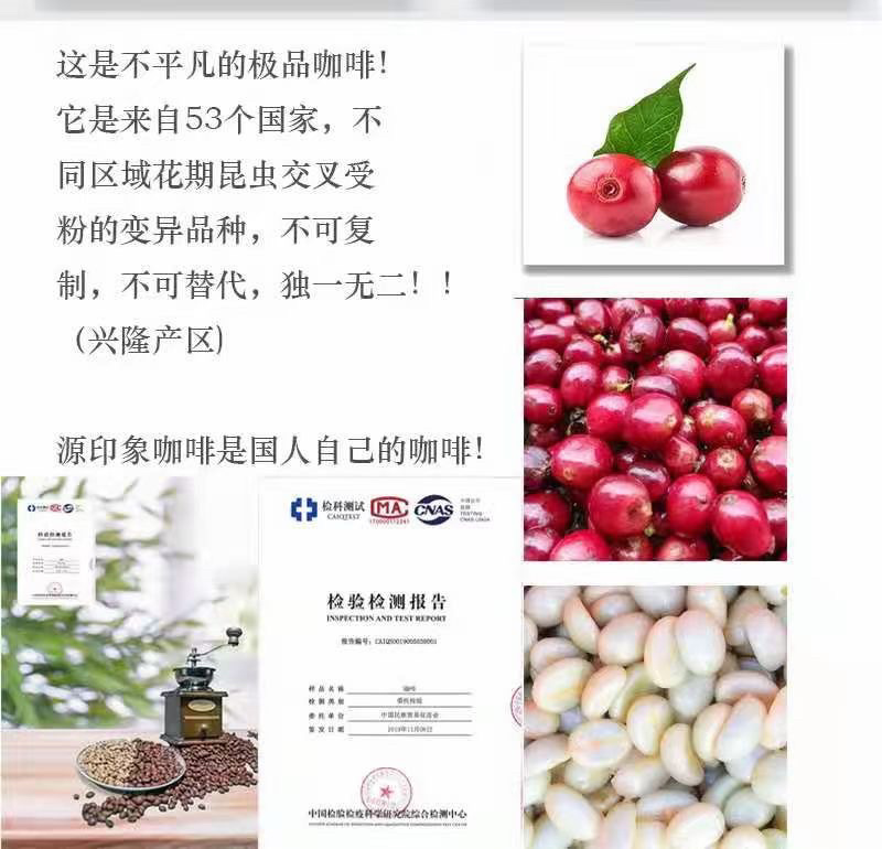 海南精品咖啡