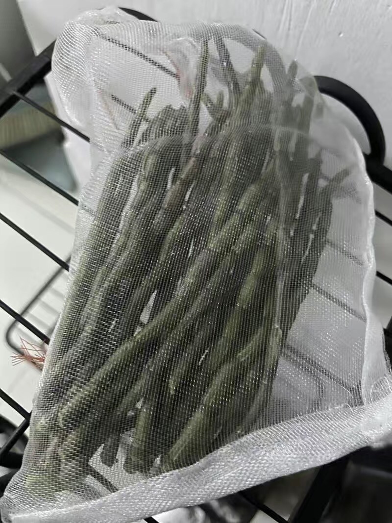 霍山正宗铁皮石斛鲜条现摘5年生石斛药材石斛