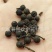 【荜澄茄】@【同欢药材】中药材批发供应规格齐全量大从优