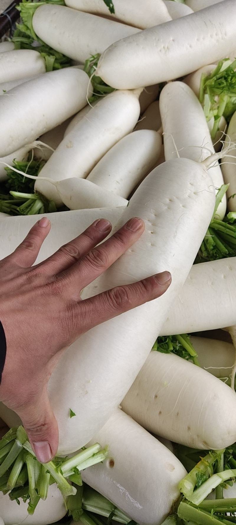 散装，包装大量出货