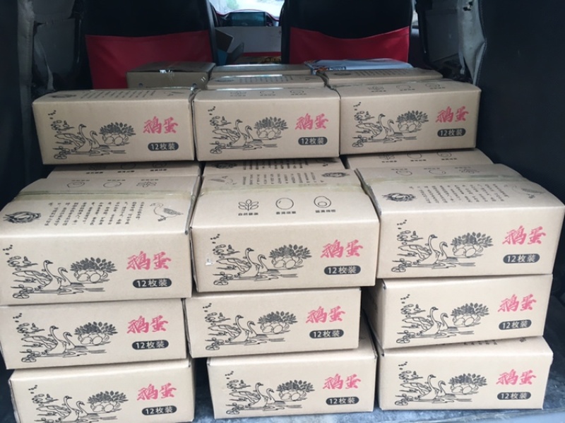 鹅蛋支持电商一件代发农家鲜鹅蛋鹅蛋产地直销