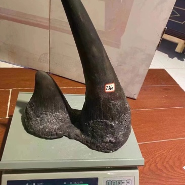 收藏级品货