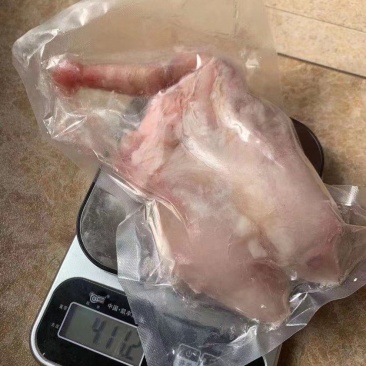 王者鞭