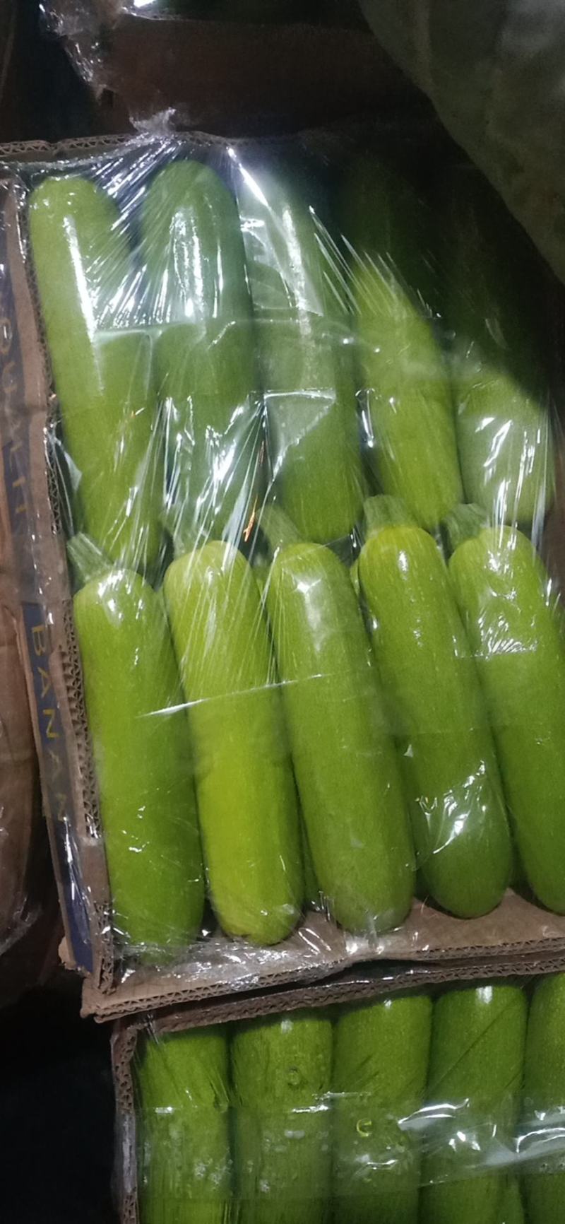 精品绿皮西葫芦