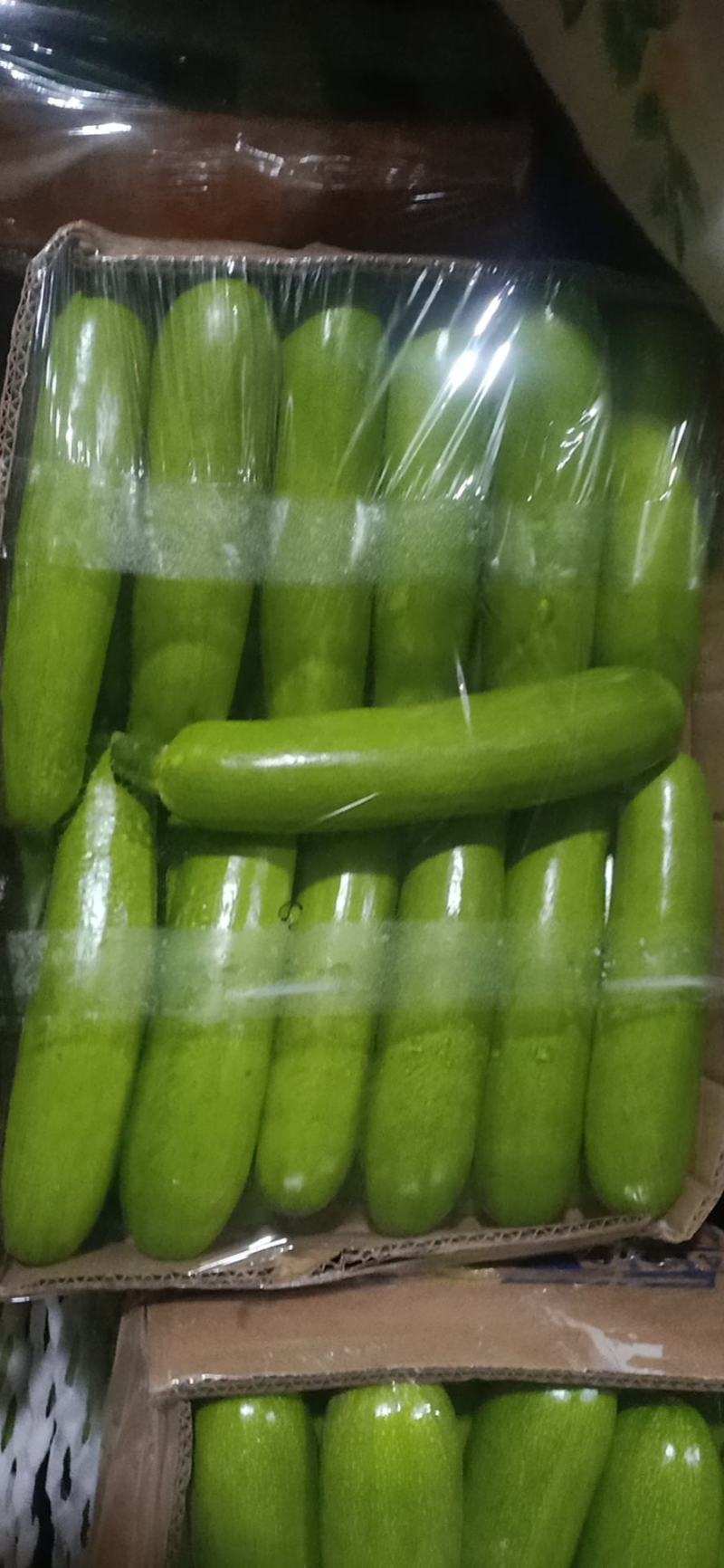 精品绿皮西葫芦
