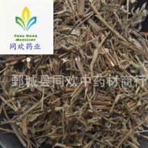 【香薷】@【同欢药材】中药材批发供应规格齐全