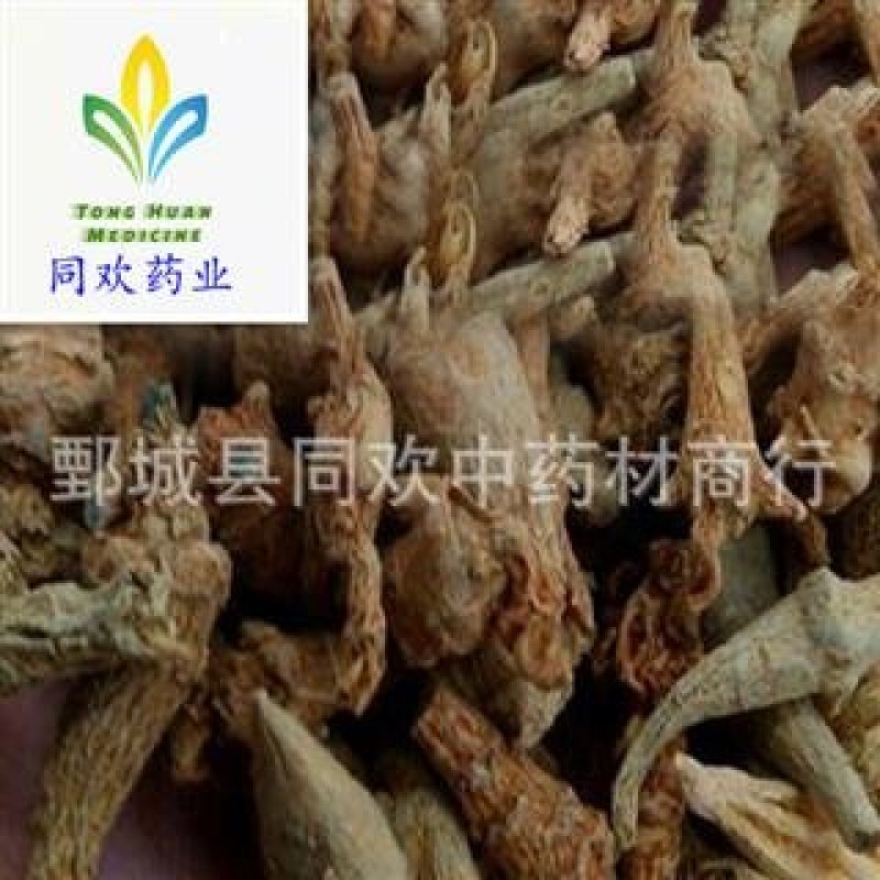 【无数头三七芽】@【同欢药材】中药材批发供应