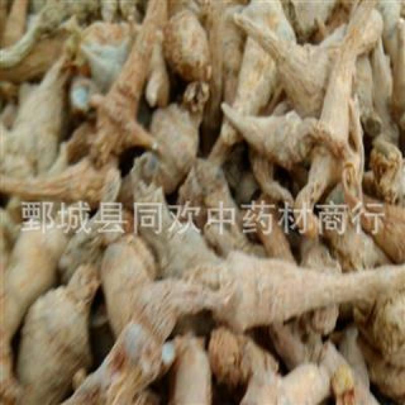 【无数头三七芽】@【同欢药材】中药材批发供应