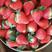 草莓，新丰一号宝童已大量上市了，颜色鲜艳口感香甜耐运输