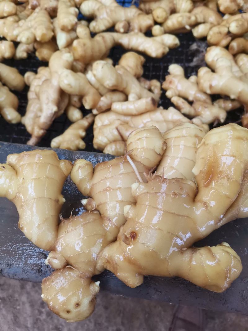 青州优质生姜大量供应，一手货源需要的老板可以联系