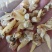 花蛤肉干去内脏无沙的，8.9成干度收拾的很干净一手货源