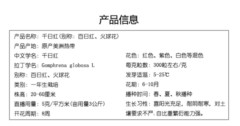 千日红千日紫种千日白千日粉种子四季花卉种子庭院易种火球花