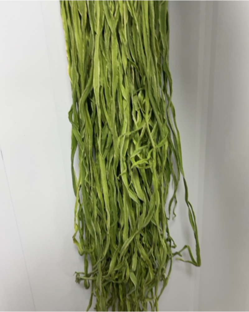 全国大量供应贡菜苔干，货源充足，产地直供。需要的朋友年了