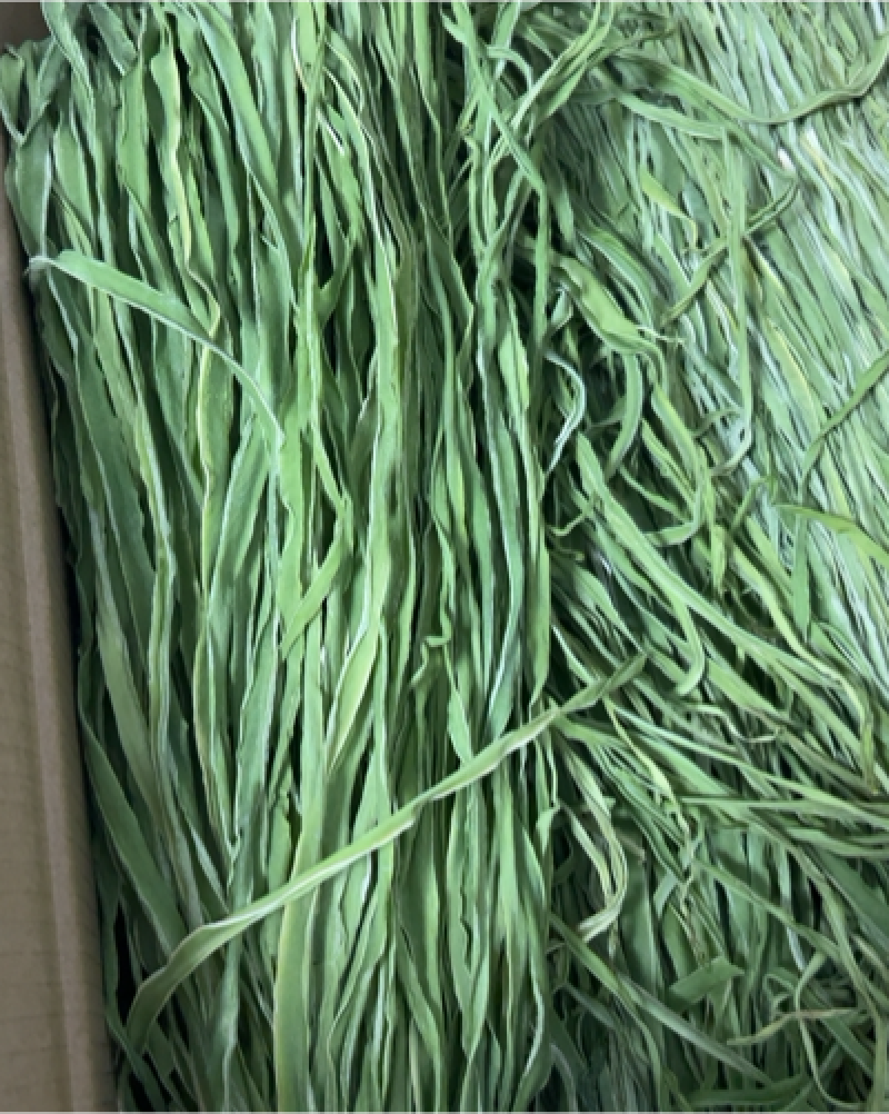 全国大量供应贡菜苔干，货源充足，产地直供。需要的朋友年了