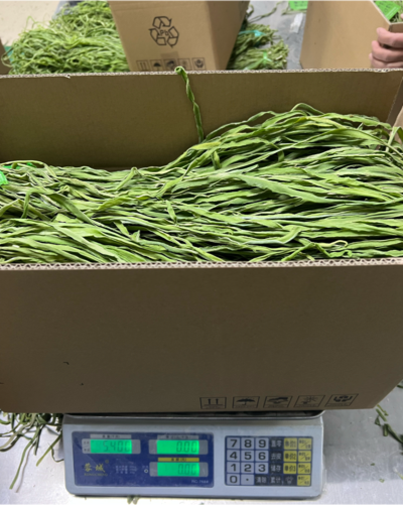 全国大量供应贡菜苔干，货源充足，产地直供。需要的朋友年了
