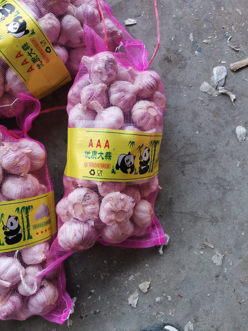 2.5公斤，熊猫小包装，电商，超市，发全国市场