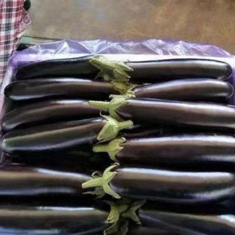 茄子，品质非常好，肉质发白无籽，诚信为本，代打全国