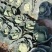 甘蓝量大优惠量大从优物有所值凉山彝族自治州