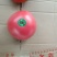 硬粉西红柿，色泽好，品质优。