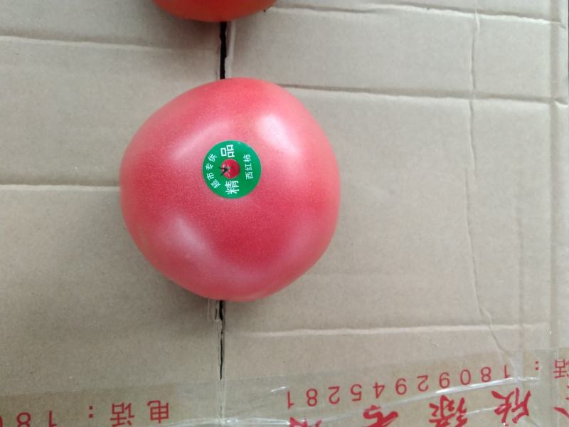 硬粉西红柿，色泽好，品质优。